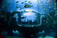 Das Aquarium Poema del Mar feiert sein zweijähriges Bestehen
