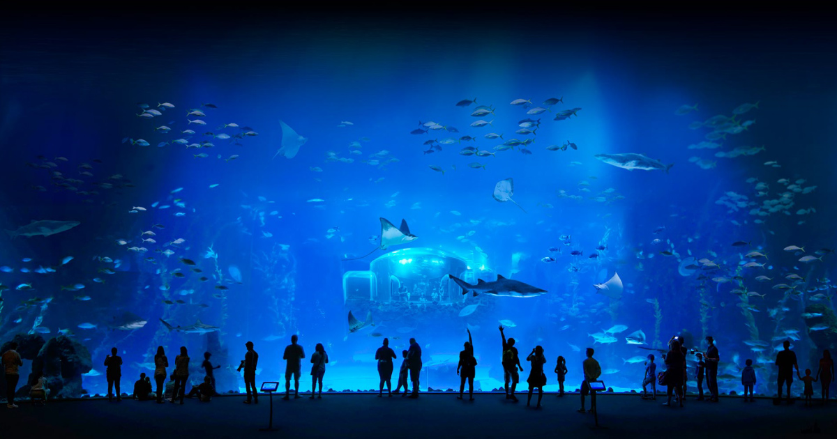 Plan Your Visit To Poema Del Mar Aquarium Poema Del Mar