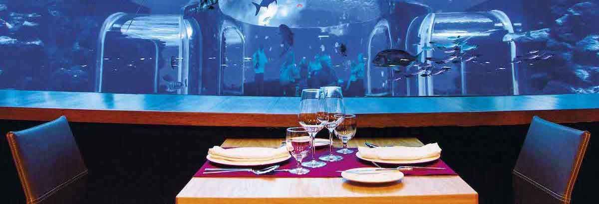 Néstor Restaurante, Poema del Mar Acuario | Gran Canaria