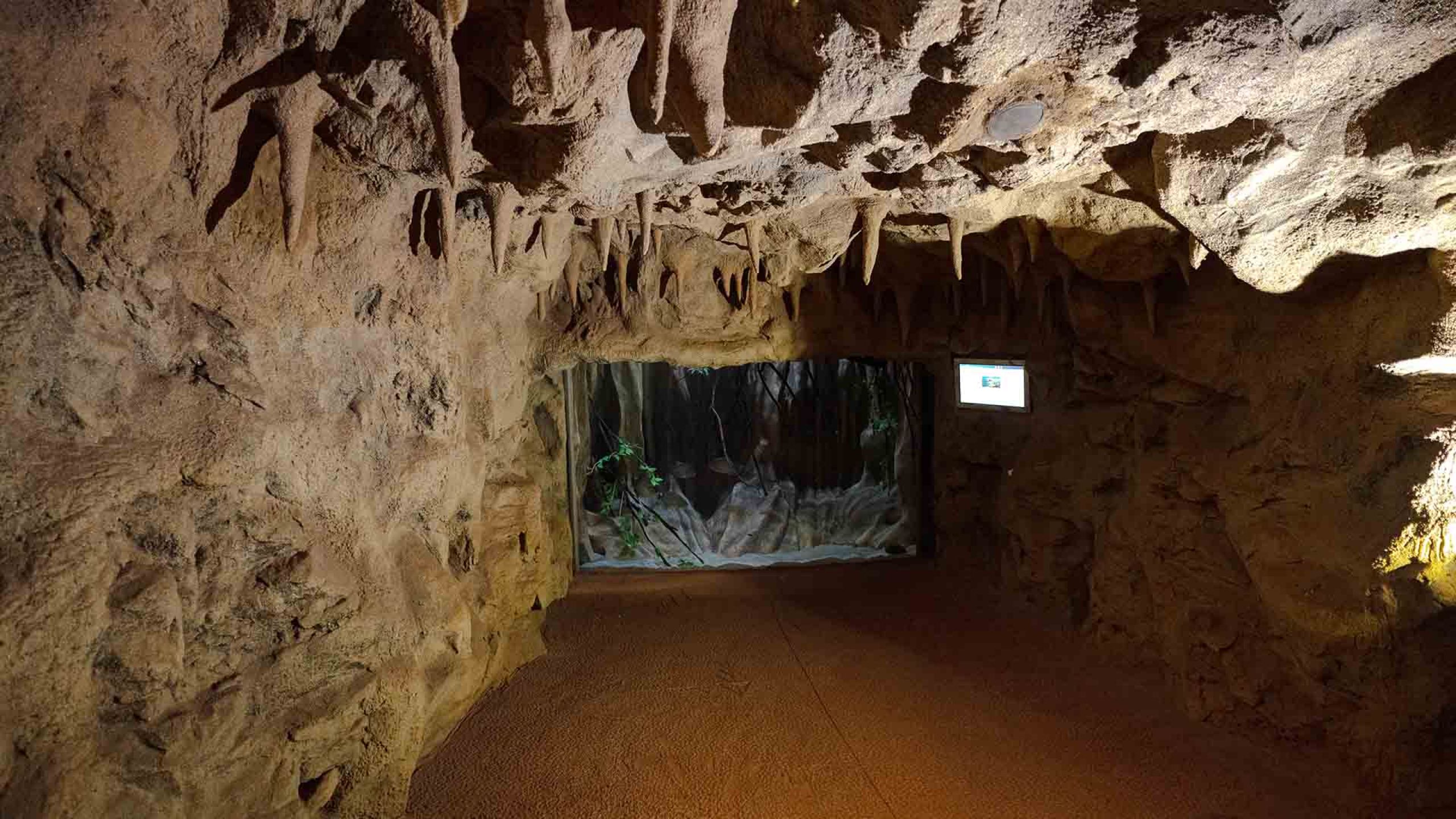 Höhle