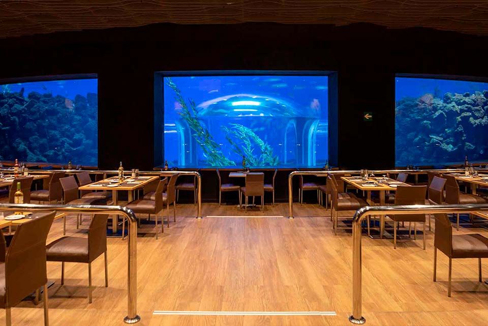 Néstor Restaurante, Poema del Mar Acuario | Gran Canaria