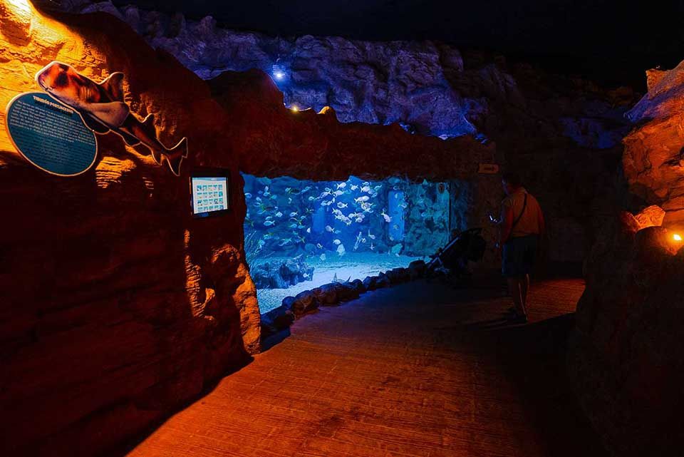 Tropical Beach Poema del Mar Aquarium