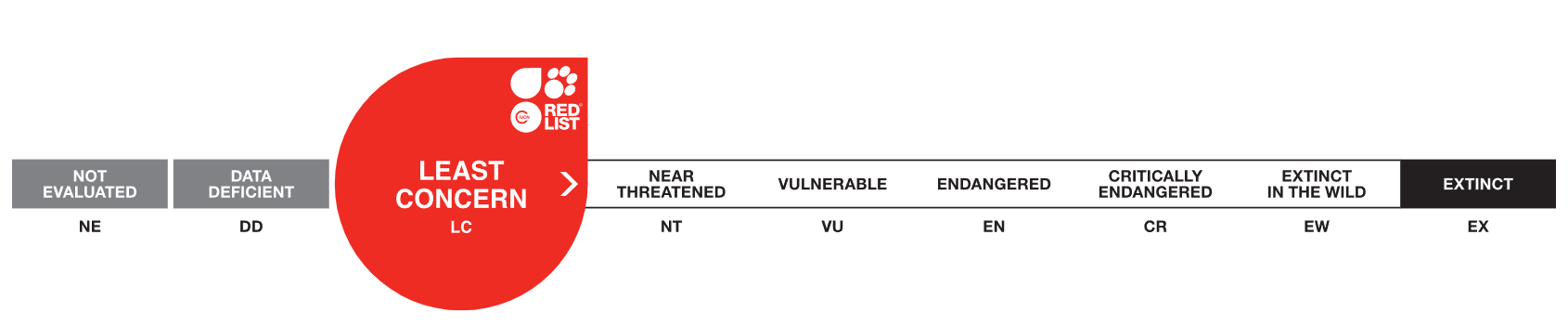 Lista roja UICN Litoria Caerulea