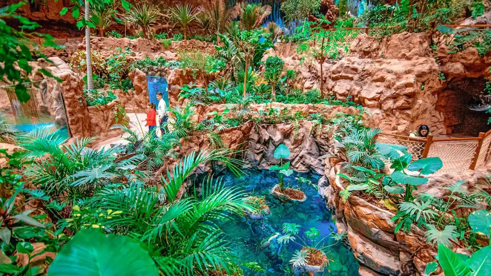 Jungle