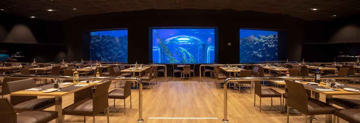 Néstor Restaurante, Poema del Mar Acuario | Gran Canaria