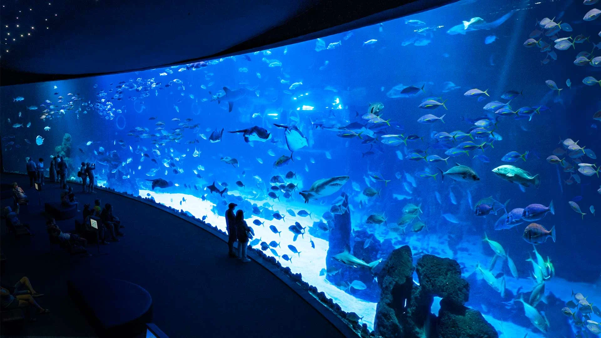 Poema del mar, acuario de Gran Canaria! 