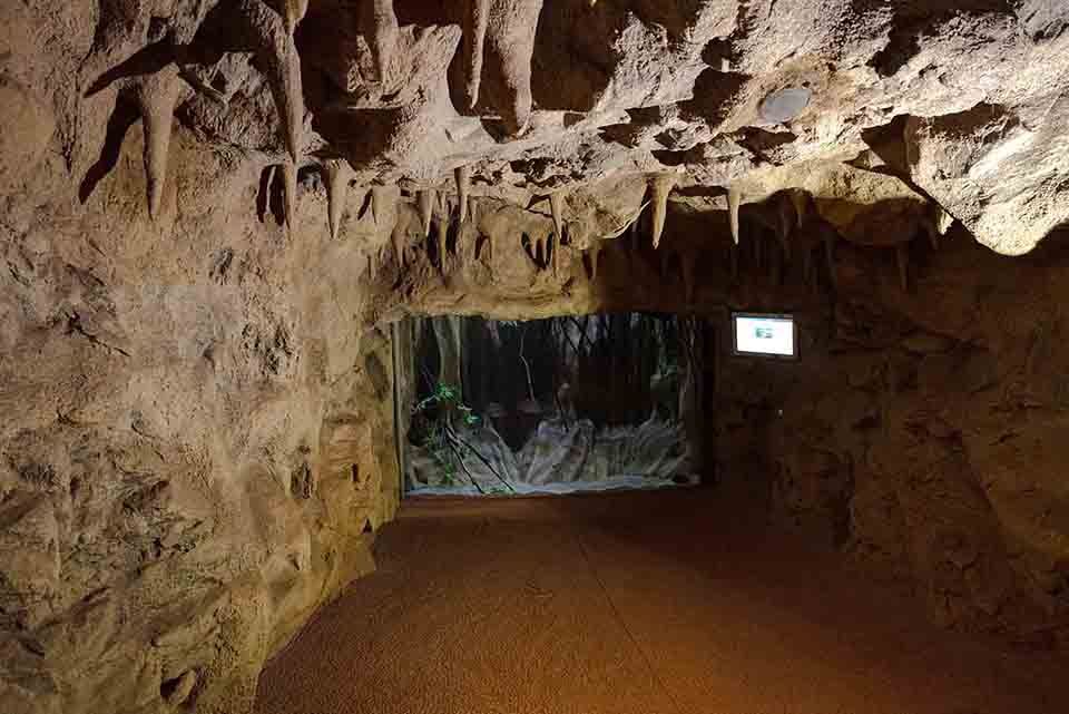 Caverna Poema del Mar Acuario